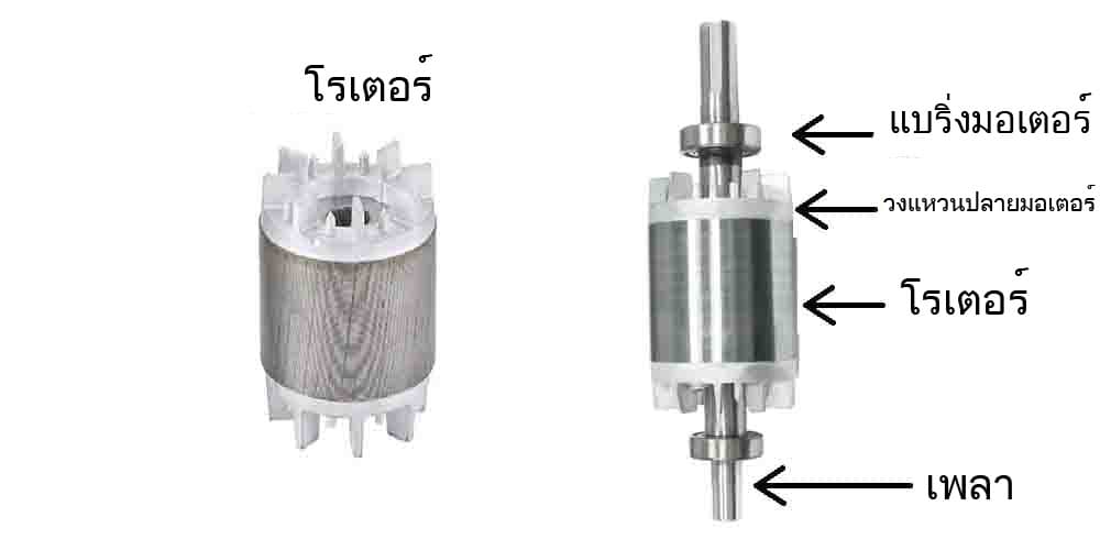 โรเตอร์ของมอเตอร์กระแสสลับ