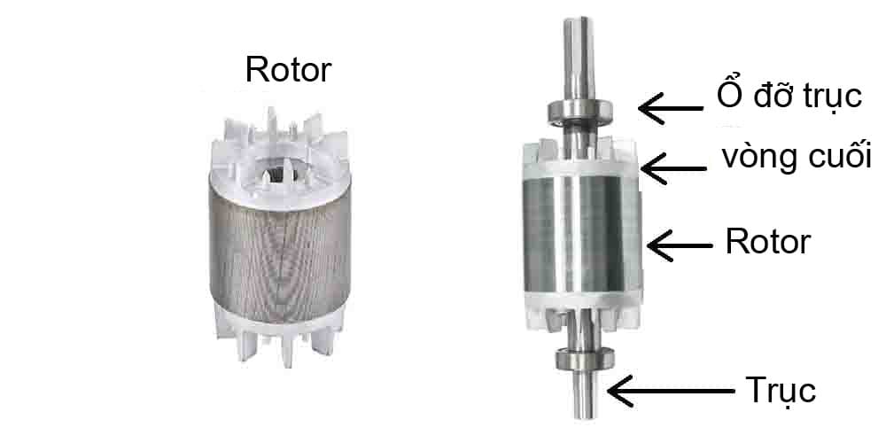 Rotor của động cơ AC